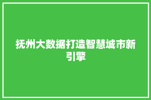 抚州大数据打造智慧城市新引擎