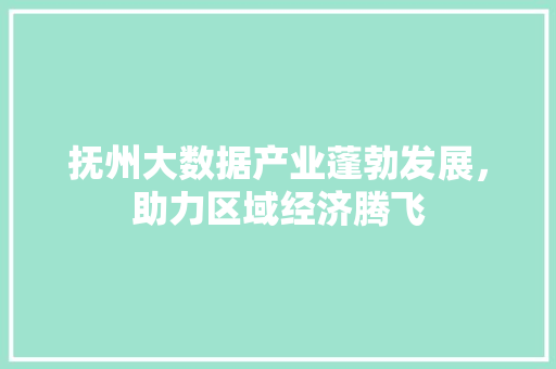 抚州大数据产业蓬勃发展，助力区域经济腾飞