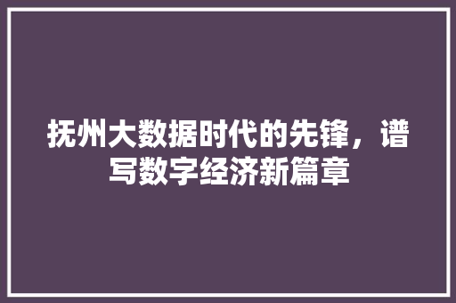 抚州大数据时代的先锋，谱写数字经济新篇章