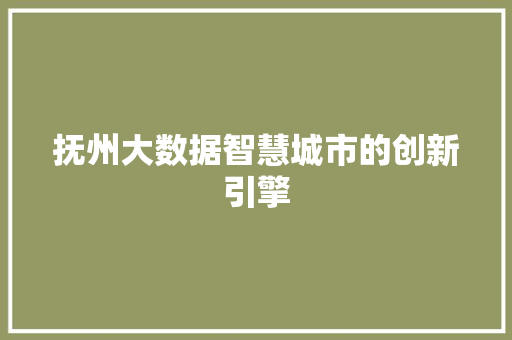 抚州大数据智慧城市的创新引擎
