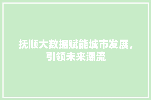 抚顺大数据赋能城市发展，引领未来潮流