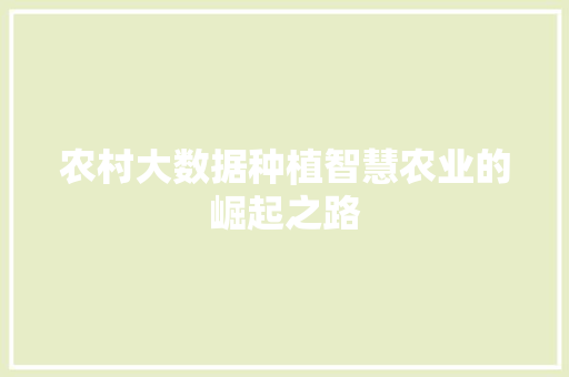 农村大数据种植智慧农业的崛起之路  第1张