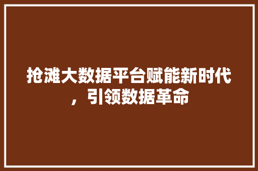 抢滩大数据平台赋能新时代，引领数据革命  第1张