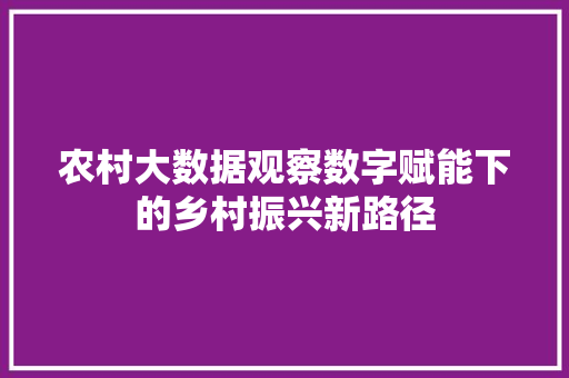 农村大数据观察数字赋能下的乡村振兴新路径  第1张