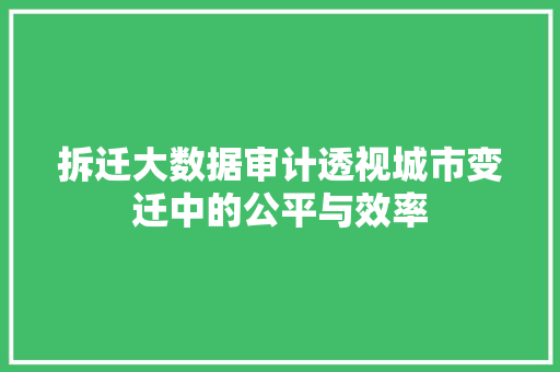 拆迁大数据审计透视城市变迁中的公平与效率