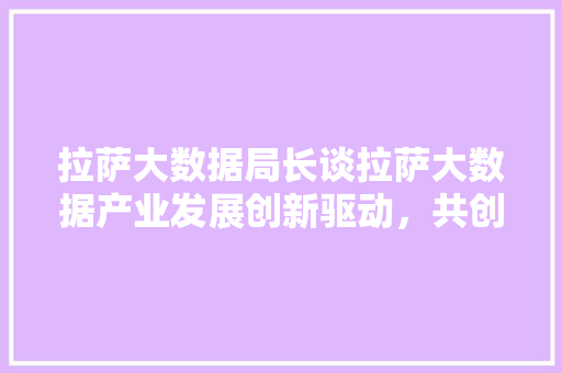 拉萨大数据局长谈拉萨大数据产业发展创新驱动，共创未来  第1张