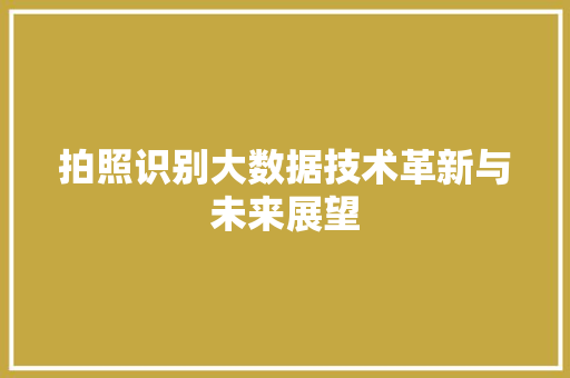 拍照识别大数据技术革新与未来展望