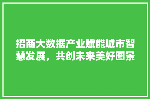 招商大数据产业赋能城市智慧发展，共创未来美好图景