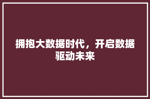 拥抱大数据时代，开启数据驱动未来  第1张
