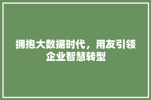 拥抱大数据时代，用友引领企业智慧转型  第1张