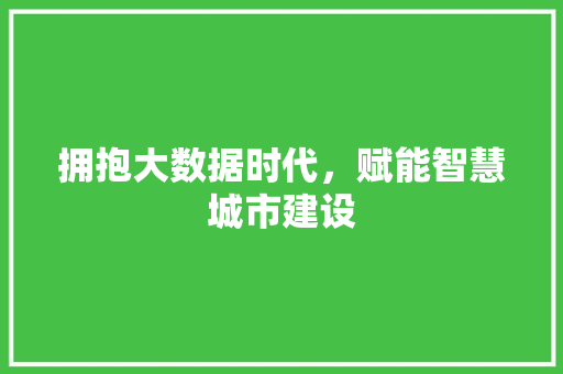 拥抱大数据时代，赋能智慧城市建设  第1张
