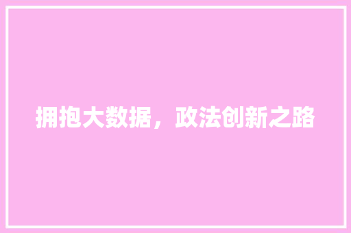 拥抱大数据，政法创新之路  第1张