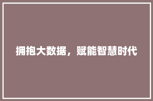 拥抱大数据，赋能智慧时代  第1张