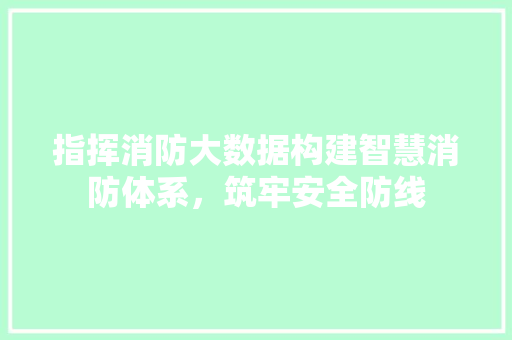 指挥消防大数据构建智慧消防体系，筑牢安全防线  第1张