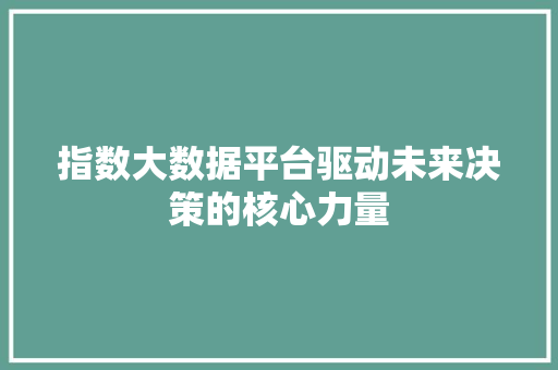 指数大数据平台驱动未来决策的核心力量
