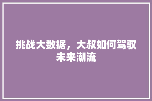 挑战大数据，大叔如何驾驭未来潮流  第1张