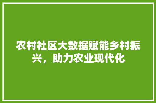 农村社区大数据赋能乡村振兴，助力农业现代化