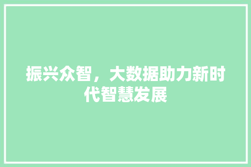 振兴众智，大数据助力新时代智慧发展  第1张