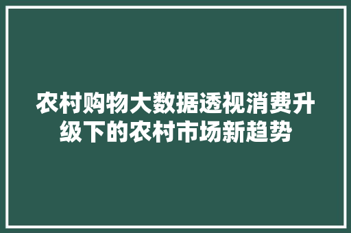 农村购物大数据透视消费升级下的农村市场新趋势  第1张