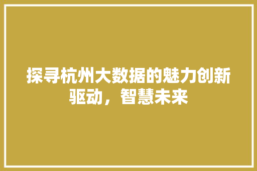 探寻杭州大数据的魅力创新驱动，智慧未来  第1张