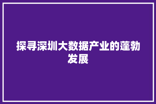 探寻深圳大数据产业的蓬勃发展  第1张