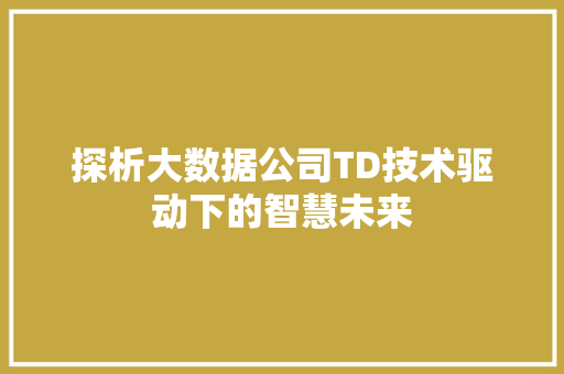探析大数据公司TD技术驱动下的智慧未来  第1张