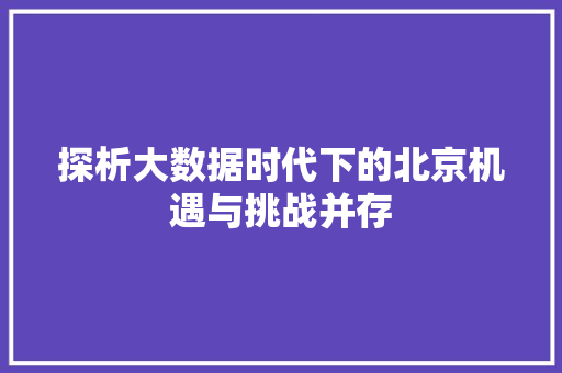 探析大数据时代下的北京机遇与挑战并存