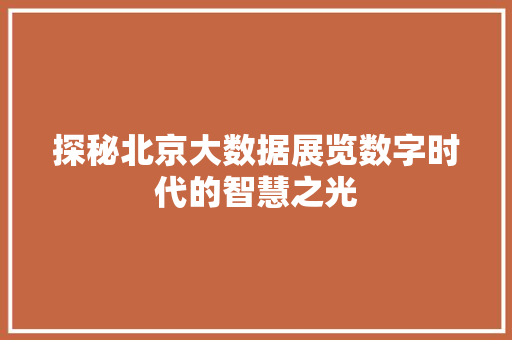 探秘北京大数据展览数字时代的智慧之光