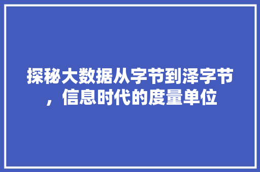 探秘大数据从字节到泽字节，信息时代的度量单位