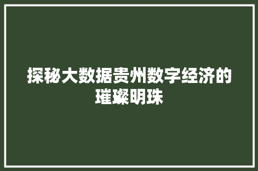 探秘大数据贵州数字经济的璀璨明珠  第1张