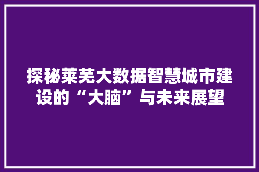 探秘莱芜大数据智慧城市建设的“大脑”与未来展望