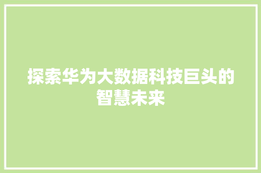 探索华为大数据科技巨头的智慧未来  第1张