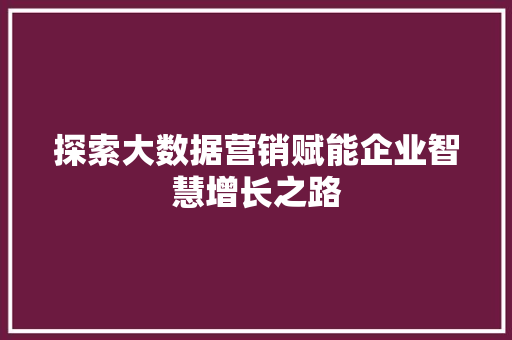 探索大数据营销赋能企业智慧增长之路  第1张