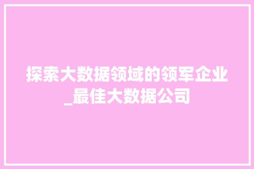 探索大数据领域的领军企业_最佳大数据公司  第1张