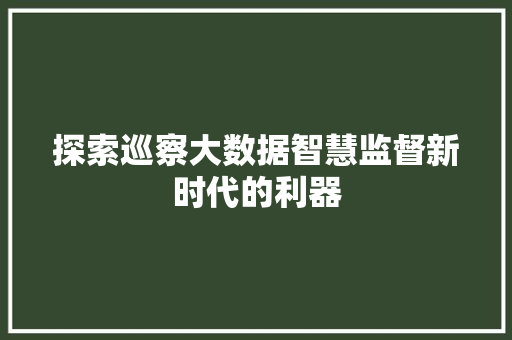 探索巡察大数据智慧监督新时代的利器
