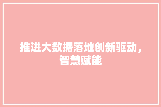 推进大数据落地创新驱动，智慧赋能