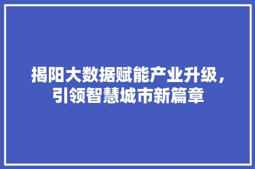 揭阳大数据赋能产业升级，引领智慧城市新篇章