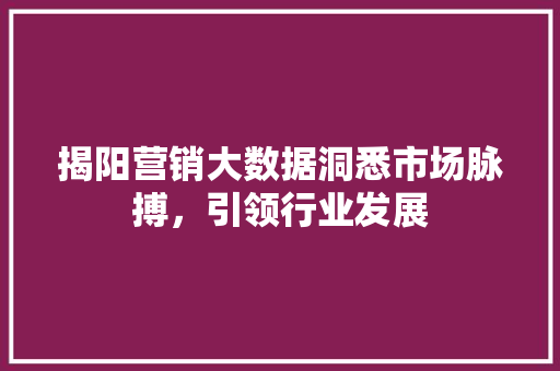 揭阳营销大数据洞悉市场脉搏，引领行业发展