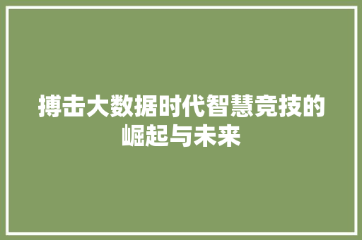 搏击大数据时代智慧竞技的崛起与未来