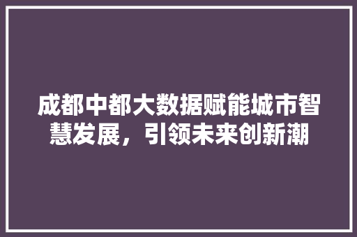 成都中都大数据赋能城市智慧发展，引领未来创新潮  第1张