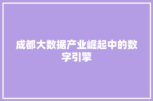 成都大数据产业崛起中的数字引擎  第1张