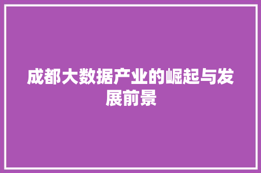 成都大数据产业的崛起与发展前景  第1张