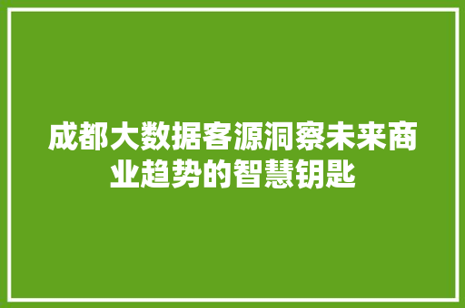 成都大数据客源洞察未来商业趋势的智慧钥匙