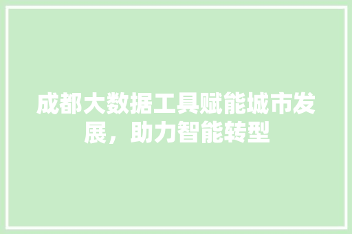 成都大数据工具赋能城市发展，助力智能转型  第1张
