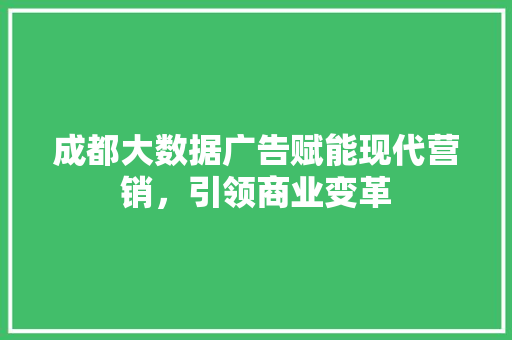 成都大数据广告赋能现代营销，引领商业变革  第1张