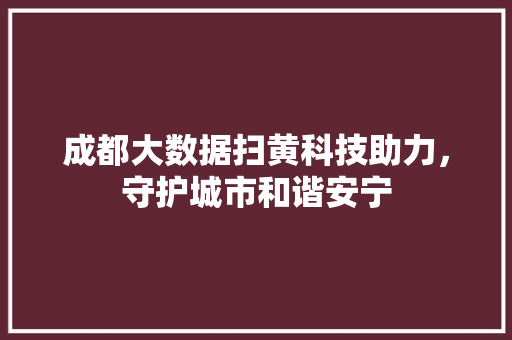 成都大数据扫黄科技助力，守护城市和谐安宁