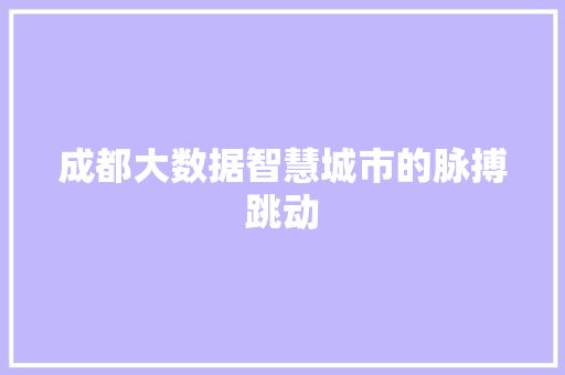 成都大数据智慧城市的脉搏跳动  第1张