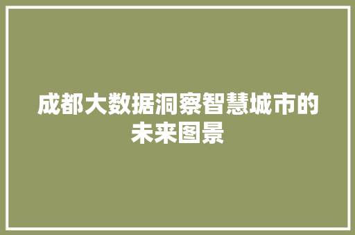 成都大数据洞察智慧城市的未来图景