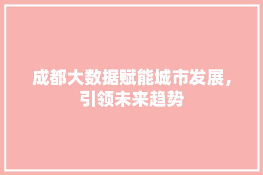 成都大数据赋能城市发展，引领未来趋势