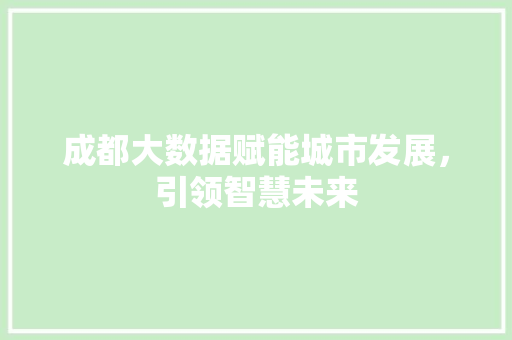 成都大数据赋能城市发展，引领智慧未来  第1张